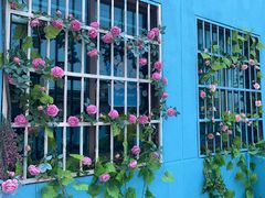 -天台见私人影院(龙骧金城店)