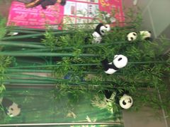茂业百货(东门店)-茂业百货(东门店)
