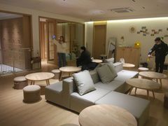 -猫腻·猫咖·撸猫馆(星光大道店)