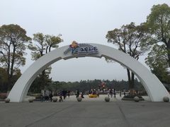 -上海鲜花港