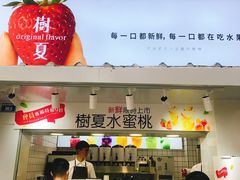 -树夏(建设路店)