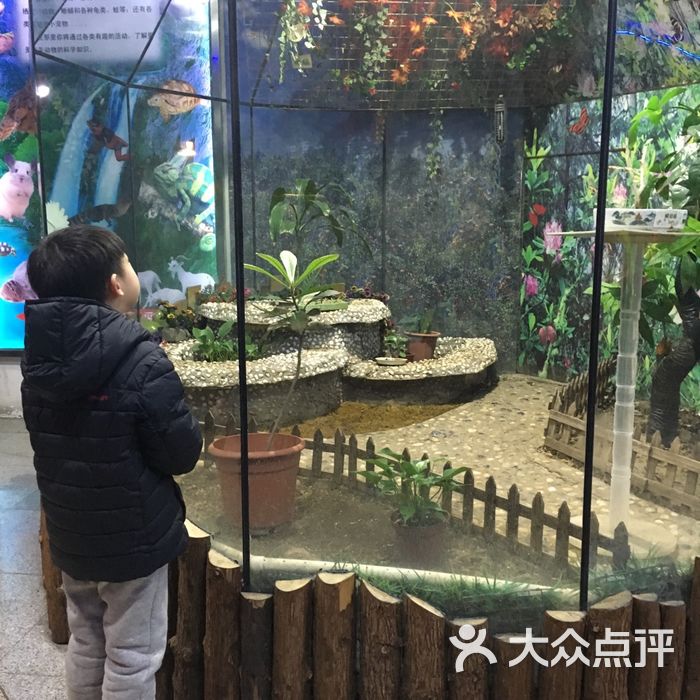 上海大自然野生昆虫馆图片