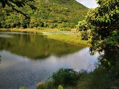 -清溪大王山森林公园