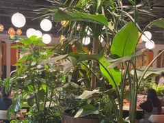 -半秋山西餐厅(巴南万达广场店)