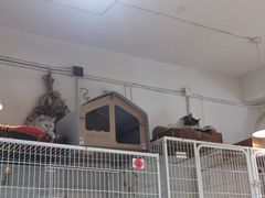 -小时光咖啡馆(北锣鼓巷店)