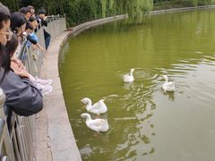 -达活泉公园
