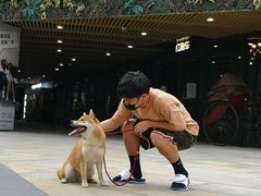 -易生活购物公园