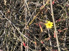 -汉长安城未央宫国家考古遗址公园