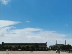 -松声马术俱乐部