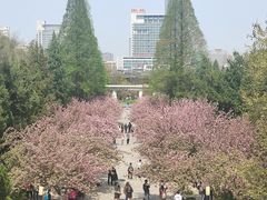 -USTC1958东区·by UNILAB