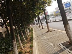 -巡茶(农民街店)