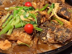 -老板恋上鱼(恒隆广场店)