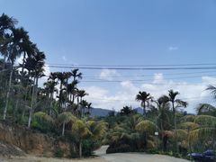 -万兴启丰椰子文化园餐厅
