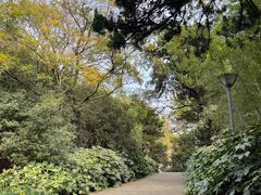 -菊花台公园