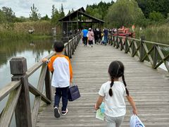 -溱湖国家湿地公园