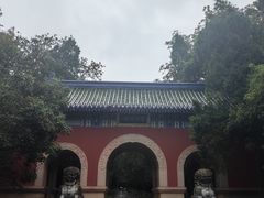 -灵谷景区