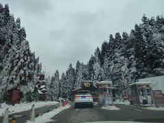 -武陵山森林公园