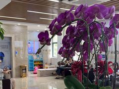 -茂菊口腔连锁(浦东南路店)