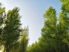 -东郊湿地公园