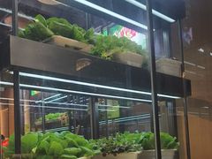 -番食园鲜食火锅(高新店)