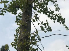 -白鹭湾湿地公园