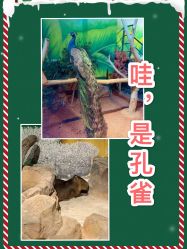 点击看大图 -未来动物城动物主题公园(大悦城店)