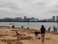 -天鹅湖体育公园