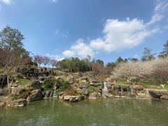 -秀丽东方
