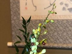 -料亭菊水楼