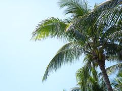 -三亚太阳湾柏悦酒店