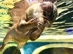 -成都浩海立方海洋公园