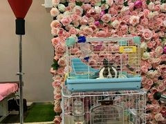 -UltraForce超源健身私教工作室(长楹天街精品店)