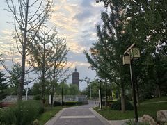 -西海子公园