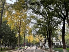 -山东大学(趵突泉校区)