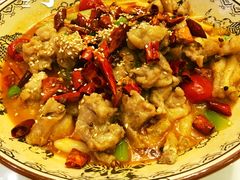 -沪碟·精菜坊(闵行店)