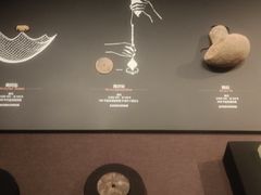 -盘龙城国家考古遗址公园