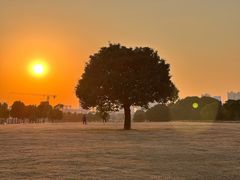 -无锡新湖铂尔曼大酒店