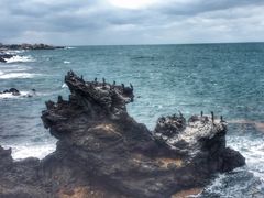 -龙头岩(Dragon Head Rock)