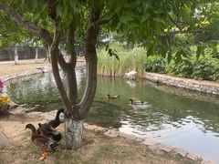 -吴裕泰茶庄(前门大街店)