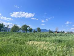 -野鸭湖国家湿地公园