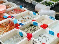 -清平路水族市场