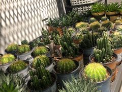 -鹿岛会员店 (龙湖三千集天街店)