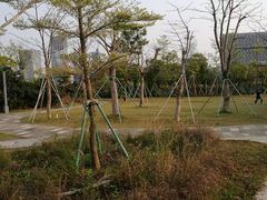 -前海深港基金小镇