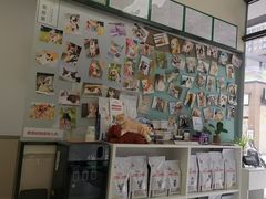 -爱妮康宠物医院·异宠·肿瘤(张江店)