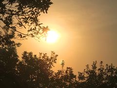 -火炉山森林公园
