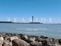 -上海吴淞炮台湾国家湿地公园
