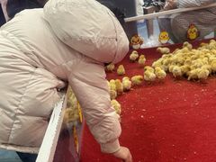 -弘阳·未来世界(弘阳广场店)