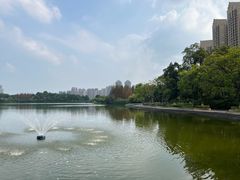 -成都南湖公园