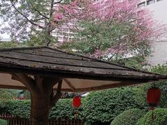 -广州花园酒店