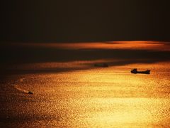 -北岐滩涂